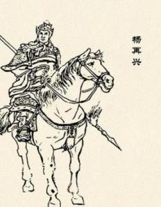 杨再兴个人资料