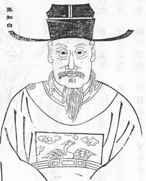 张知白个人资料