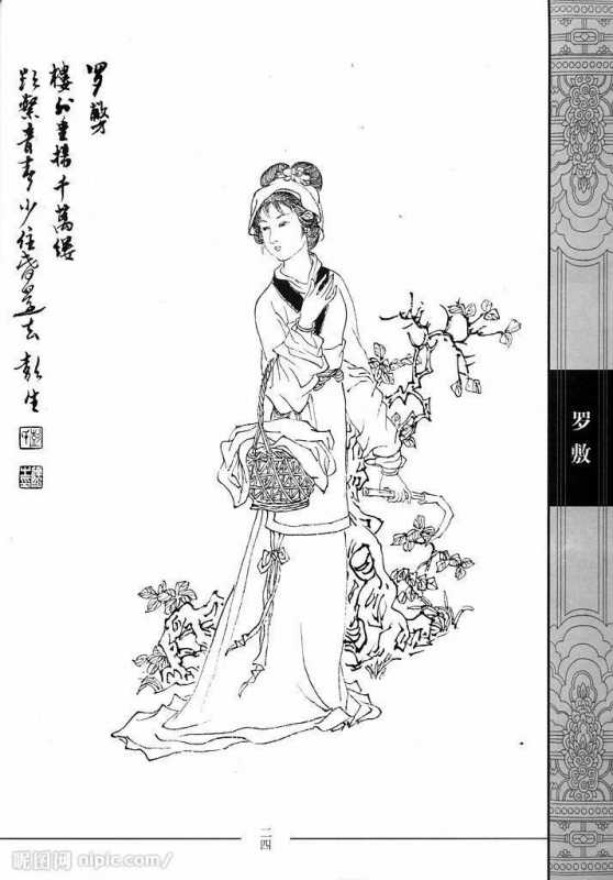 秦罗敷个人资料 秦罗敷个人资料