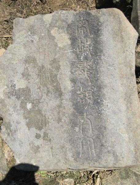林仲虎个人资料